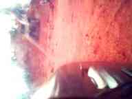 KDT2014-09.jpg KDT2014-09.jpg