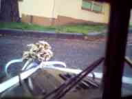 DM2014-07.jpg DM2014-07.jpg