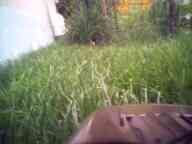 fco_640.jpg fco_640.jpg